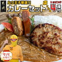 【ふるさと納税】【年内お届け】ルウ王子厳選カレーセット プロが選ぶカレーをも〜っと楽しめるトッピング4種付≪2024年12月20日〜31日お届け≫ - トッピング付 期間限定 年内発送 年内配送 年末配送 送料無料 MJ-2707-HNY【宮崎県都城市は2年連続ふるさと納税日本一！】