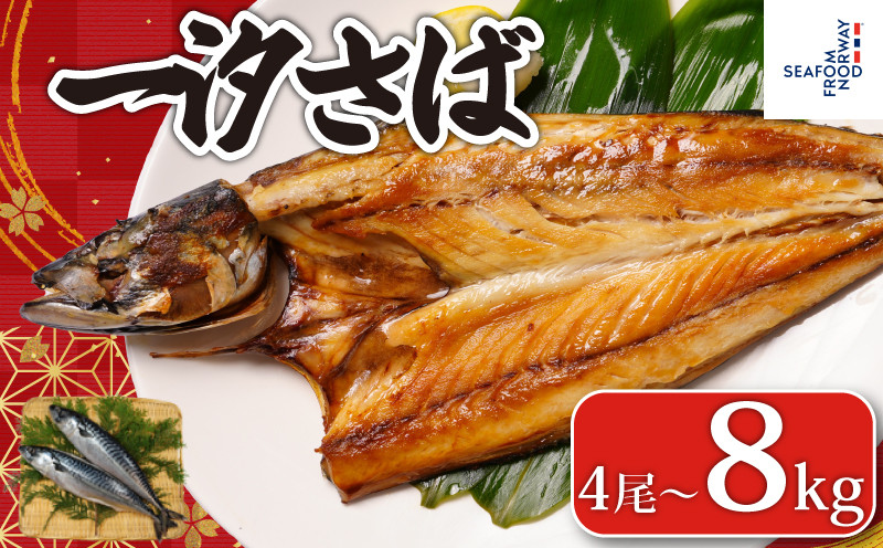 
            一汐さば 【選べる容量】 4尾～8kg さば 鯖 さぬき塩 塩さば 塩鯖 鯖の開き さばの開き 無添加 ノルウェー 厳選 海の幸 大容量 おつまみ お弁当 惣菜 おかず 調理用 料理 素材 冷凍 冷凍品 長期保存 保存食 鮮度 旨味 お取り寄せ グルメ 食品 魚 魚貝 魚介 ギフト 贈り物 プレゼント 海鮮 ふるさと納税鯖 ふるさと納税さば ふるさと納税 千葉県 銚子市 送料無料 エドノフーズ
          