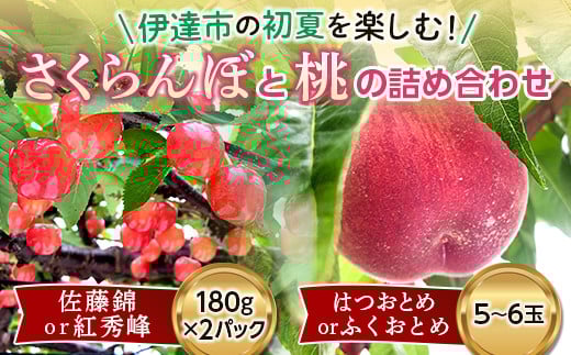 福島県産 さくらんぼと桃の詰め合わせ さくらんぼ 180g×2パック 桃 5～6玉 2025年6月中旬～2025年6月下旬発送 2025年出荷分 先行予約 予約 セット 詰合せ 佐藤錦 紅秀峰 伊達の桃 はつおとめ ふくおとめ もも モモ 果物 くだもの フルーツ 国産 食品 F20C-542