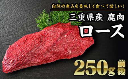 【 ジビエ 】鹿肉 ロース 250g｜サステナブル SDGs 新鮮 低カロリー ヘルシー 熟成 ステーキ 焼肉 シカ 小分け ジビエ食材 YZ-4