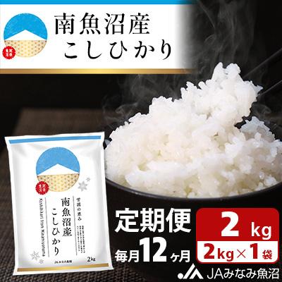 ふるさと納税 南魚沼市 【毎月定期便】南魚沼産こしひかり 精米 2kg全12回