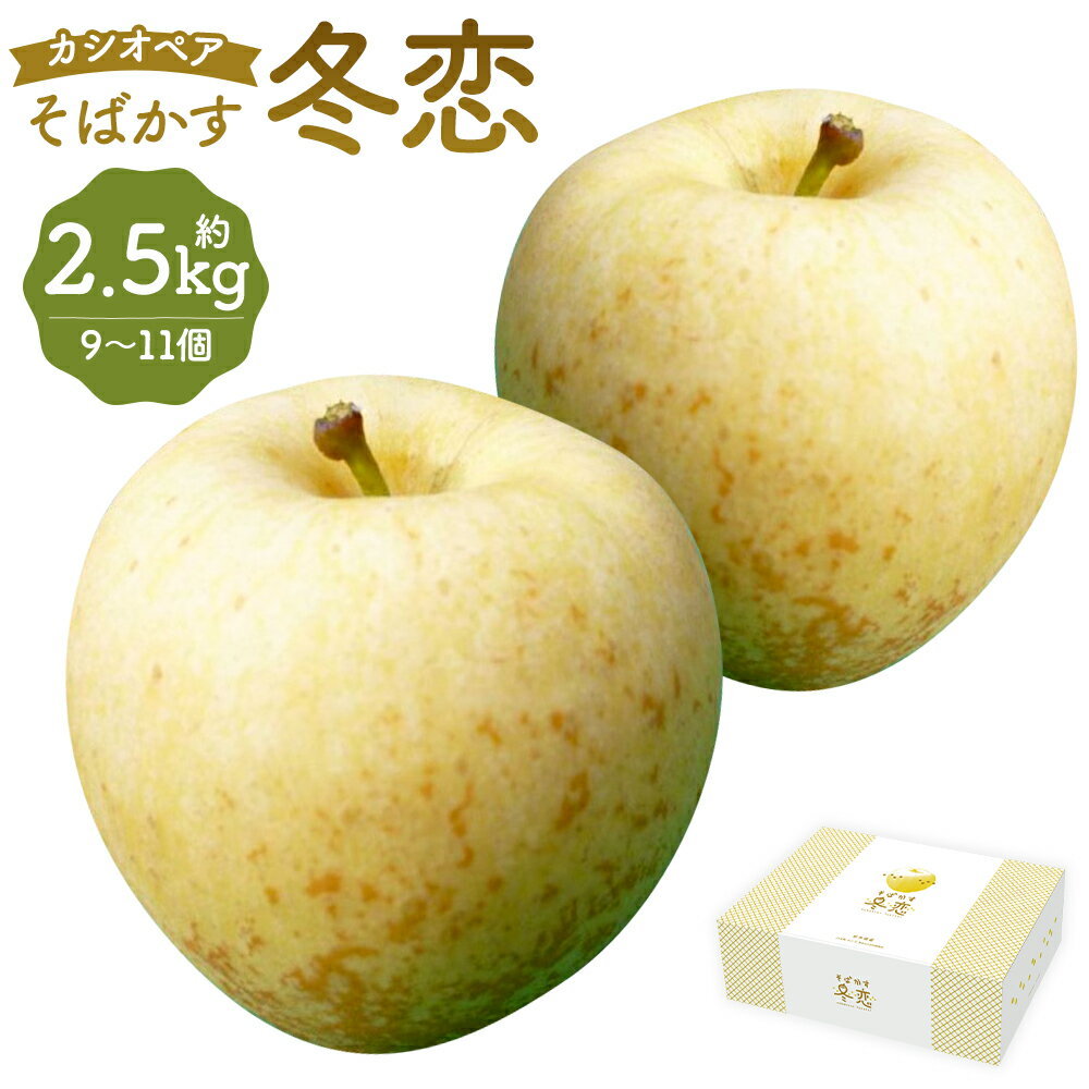 【ふるさと納税】二戸産 カシオペアそばかす冬恋はるか 約2.5kg 9個～11個 糖度15度以上 蜜入り保証品 訳あり ご家庭用 りんご リンゴ 林檎 フルーツ 果物 岩手県産 二戸市産 年内発送 送料無料【2025年12月上旬-下旬発送予定】