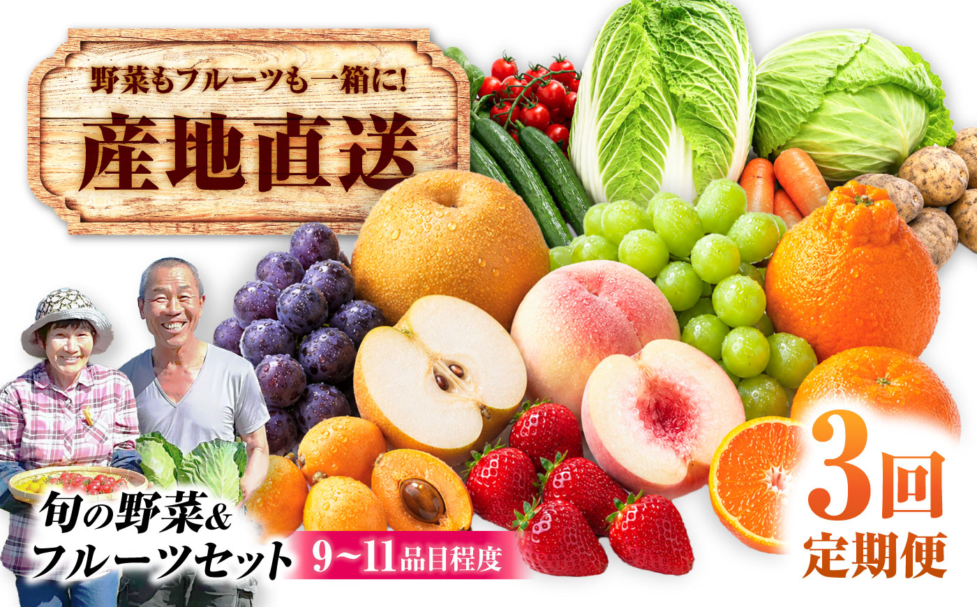 【3回定期便】【産地直送】長崎県諫早産 旬の野菜＆フルーツ詰め合わせ 9～11品目程度 季節のおまかせセット / 野菜 フルーツ 果物 セット 詰め合わせ 旬野菜セット 旬のフルーツ 旬 食べ比べ 産