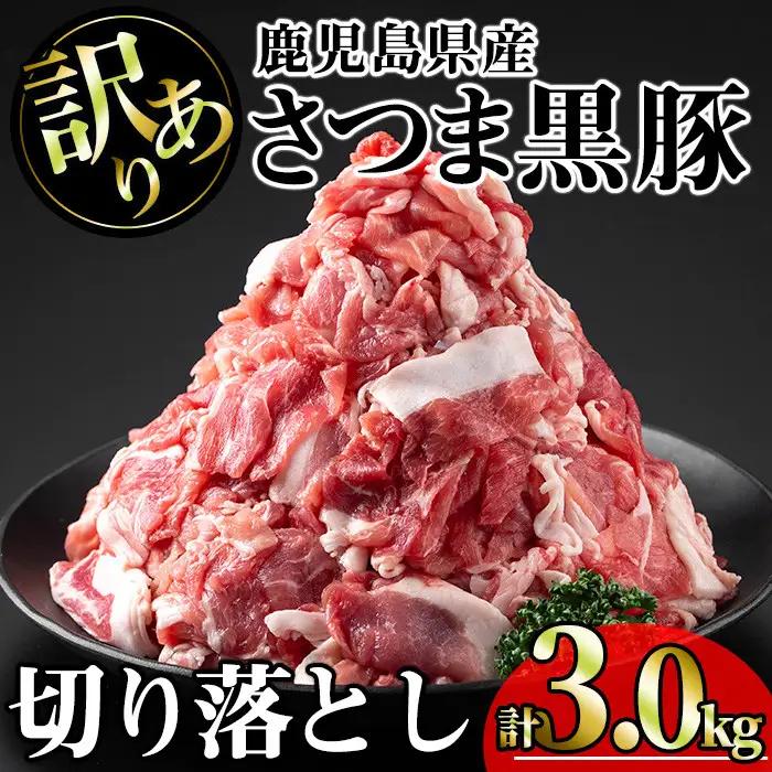 【訳あり】鹿児島県産 豚肉 さつま 黒豚 切り落とし (計3.0kg・250g×12P)【KNOT】 A693