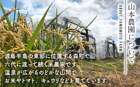 【先行予約】 【定期便】 つむぎ米 5kg【北海道産ゆめぴりか】令和6年産 （令和6年10月上旬以降順次発送） 全3回《山本農園》 森町 こめ お米 米 白米 ゆめぴりか 北海道米 mr1-0624