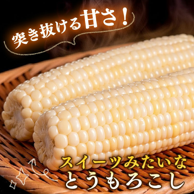 【2027年先行予約】 南国フルーツコーン ホワイト種(雪の妖精 他品種あり) 4kg (約8～11本) | とうもろこし トウモロコシ コーン スイートコーン フルーツとうもろこし もぎたて 新鮮 