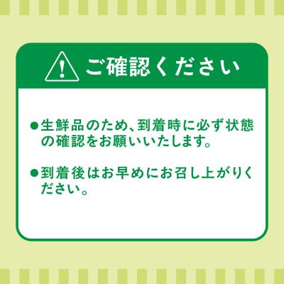 ふるさと納税 宗像市 福岡県ブランド!キウイフルーツ「博多甘うぃ」1箱約3.6kg【ほたるの里】_HA0434 |  | 03