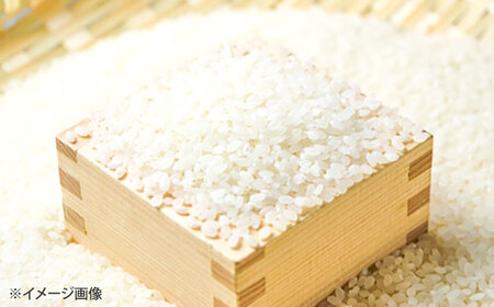 【令和7年度産】ひのひかり 10kg 【勝農園】[IDK001]