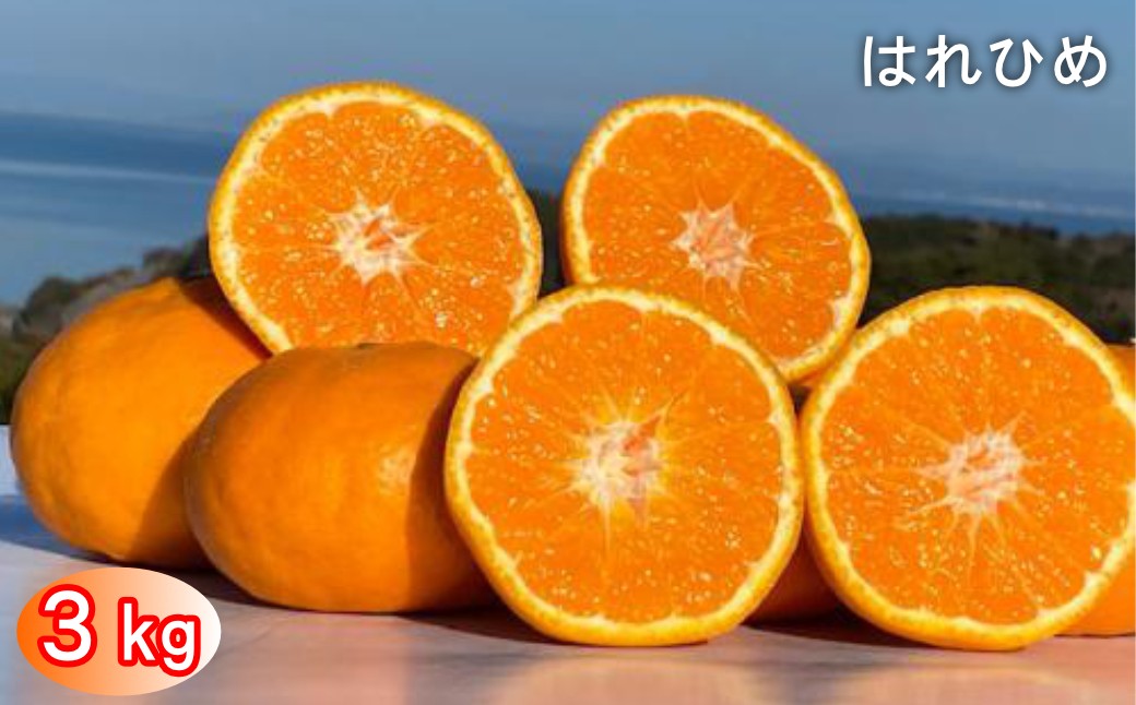 
                  太良町 山本農園の「はれひめ」 3kg
                