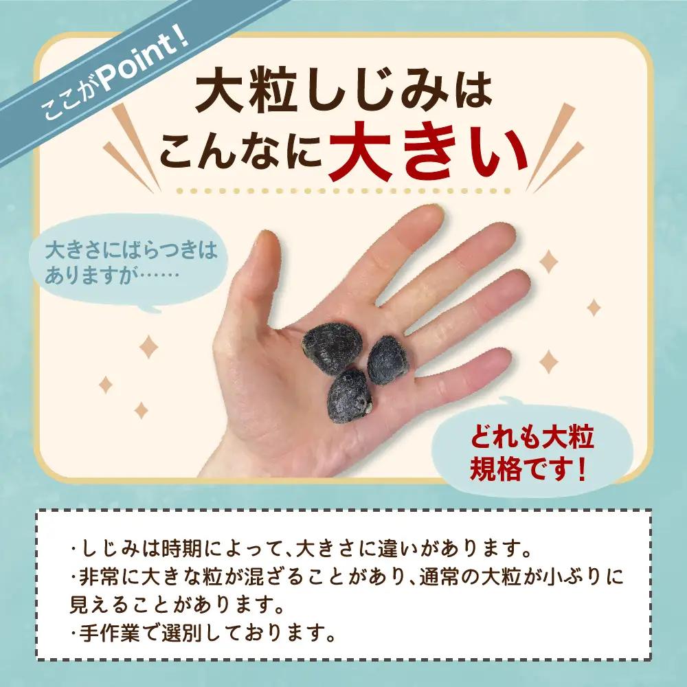 しじみ 800g 大粒大和しじみ（冷凍）砂抜き済 十三湖