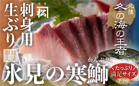 ＜先行予約＞【魚問屋直送】天然「生ひみ寒ぶり」刺身用 約400g ブリ 刺身用柵 お刺身 鰤 ひみ寒ぶり お刺身 生 寒ぶり 冷蔵配送 お刺身 3～4人前 お刺身 炙り 鰤 しゃぶしゃぶ 鰤大根 ブリ 照り焼きにも 氷見の鮮魚 厳選 生 寒ぶり 産地直送 鰤