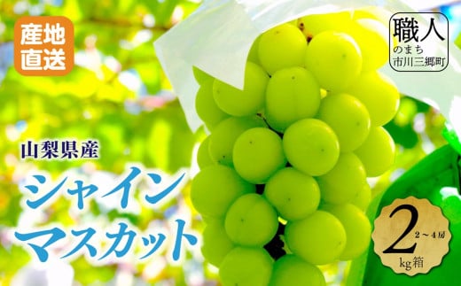 【先行予約】山梨県産シャインマスカット　2キロ箱 【2025年9月上旬から発送】 薬袋農園[5839-1001]