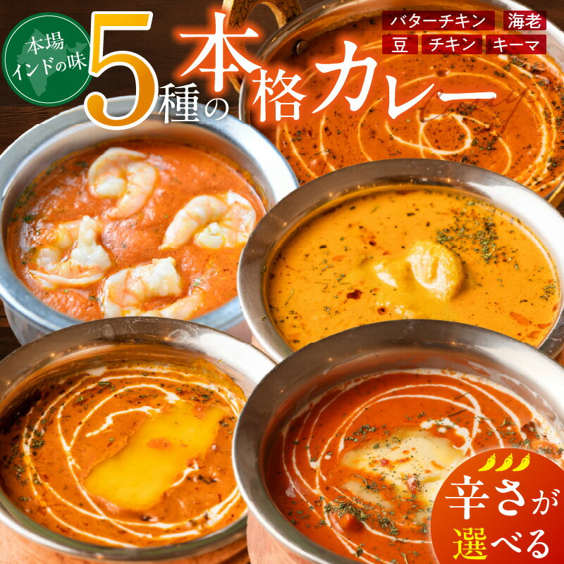 【ふるさと納税】ビスヌ 本格 カレー 5種 バターチキン 豆 海老 チキン キーマ 各 1個 選べる 辛さ マイルド 中辛 辛口 インドカレー スパイス こだわり インド 直輸入 Aランク できたて 冷凍 真空パック お取り寄せ 福岡県 久留米市 送料無料