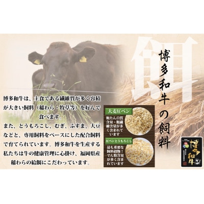 博多和牛 ロースステーキ用 400g(200g×2枚入)(岡垣町)【配送不可地域：離島】