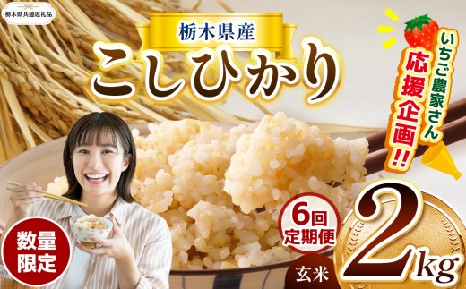 【栃木県共通返礼品】【先行予約】【定期6回】 訳あり令和8年度 数量限定 栃木県産コシヒカリ 2kg |定期便 数量限定 こしひかり  玄米 米  ご飯 お米 kome ごはん おいしい  玄米密閉パック ふるさと納税 那珂川町 栃木県 送料無料