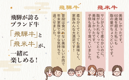 飛騨牛×飛米牛 全6回のブランド牛定期便 焼肉 すき焼き しゃぶしゃぶ 国産 ブランド牛 食べ比べ セット 牛肉 肉 和牛 すきやき お楽しみ 6回 毎月 冷凍でお届け 飛騨市 [Q2856]