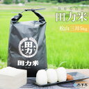 【ふるさと納税】＜令和5年産 田力米 5kg 松山三井＞ お米 こめ コメ ご飯 ごはん 特産品 田力本願 愛媛県 西予市 【常温】『1か月以内に順次出荷予定』