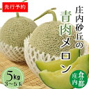 【ふるさと納税】★先行予約★食の都庄内　【令和7年産】庄内の青肉メロン5kg（3～5玉）※令和7年6月中下旬より発送予定（有限会社庄内旬青果）