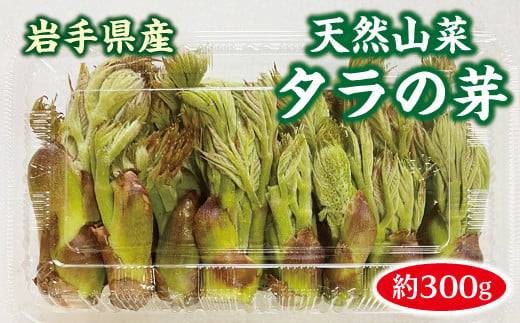 
            【先行予約】 【４月中旬頃～発送予定】 山菜 タラの芽 300g 天然 たらのめ
          