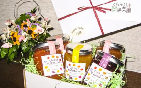 ジャムという名のフルーツ『手作り いちじく ジャム 5瓶セット』余計なものは何も加えない [1301]