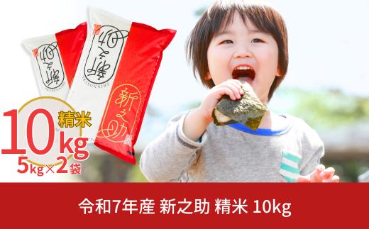 新潟県産 新之助 10kg しんのすけ 令和7年産 [株式会社白熊]【018S042】