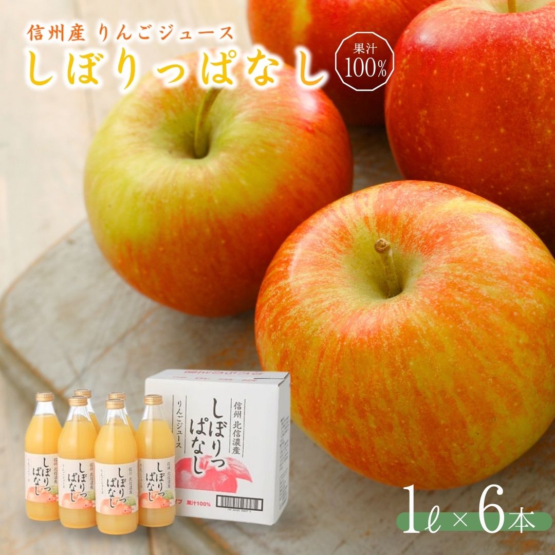  信州産りんごジュース  しぼりっぱなし 果汁100％ ( 1L × 6本 )