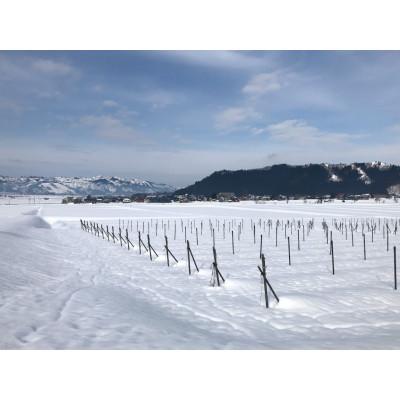 ふるさと納税 南魚沼市 限定10セット※南魚沼産カベルネ2017・2020・2022 熟成の深まりと栽培の進化を愉しむ3本 |  | 02