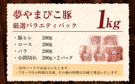 「夢やまびこ豚」厳選バラエティパック 1.0kg | 豚肉 肉 詰め合わせ セット トンカツ 小分け 真空パック 冷蔵 送料無料