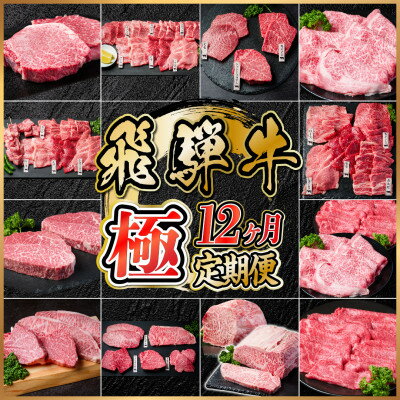 【ふるさと納税】【毎月定期便】飛騨牛 極定期便 計12.9kg【冷蔵便】A4～A5等級 シャトーブリアンほか全12回_ 定期便 肉 飛騨牛 ブランド牛 ステーキ 焼肉 しゃぶしゃぶ ローストビーフ 冷蔵 人気 おすすめ 送料無料 贈答 ギフト 【配送不可地域：離島】【4055987】