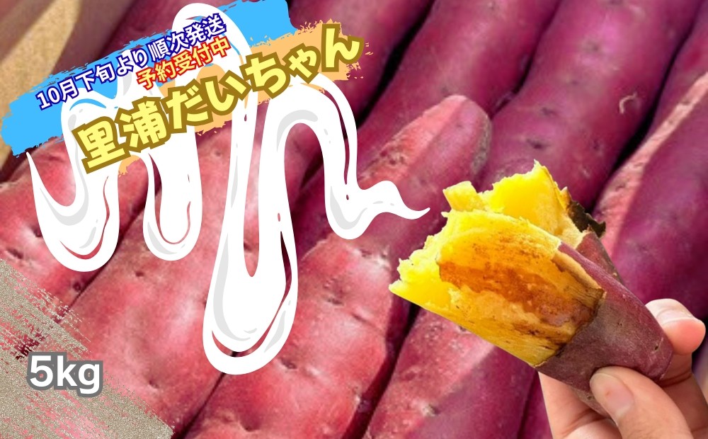 
            【予約受付中・2025年10月下旬頃より順次発送】鳴門産 さつまいも 『 里浦だいちゃん 』 5kg | なると金時 甘い ホクホク スイーツ 焼き芋 干し芋 天ぷら サラダ けんぴ きんつば
          