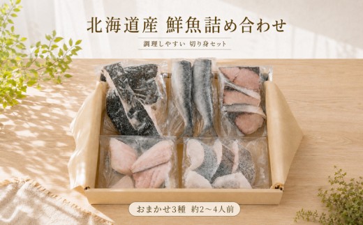【 お試し 】 北海道産 天然 鮮魚 おまかせ 3種 セット 詰め合わせ 約2~4人前 冷凍 下処理 済 切り身 国産 タラ ソイ ニシン カレイ 新鮮 鮮魚ボックス 鮮魚セット 煮付け 料理 食べ比べ 海鮮 下処理済み パック 包装 お手軽 手軽 魚 お魚 詰め合わせセット 魚詰め合わせ 冷凍魚 魚介類冷凍 魚介類 魚貝類 1万円 以内 10000円 以下 北海道 標津町