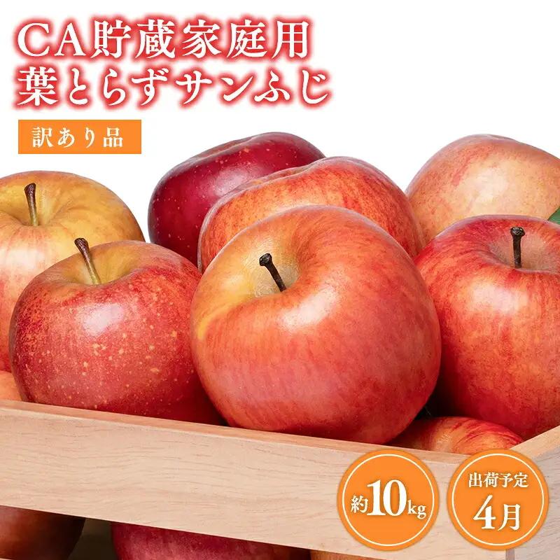 4月発送 訳ありCA貯蔵 葉とらずサンふじ 約10kg  青森県産りんご[hi-0009-012]