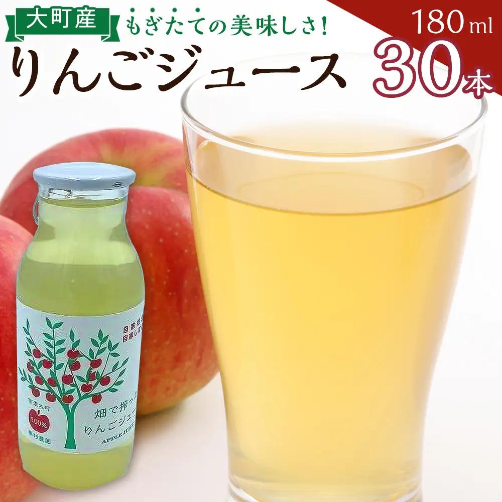 りんご ジュース セット 30本 × 180ml 大町産 大町産 箱入り りんごジュース 長野 信州