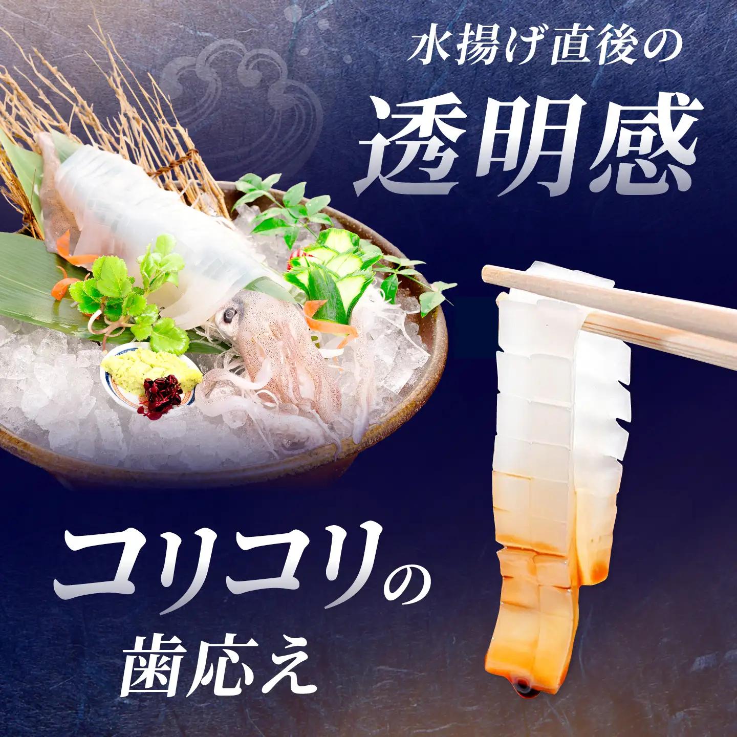 呼子剣先いか 活き造りMサイズ 2パック / イカ 烏賊 新鮮 刺身 / 佐賀県 / 佐賀玄海漁業協同組合（呼子CASセンター）[41ABAN001]