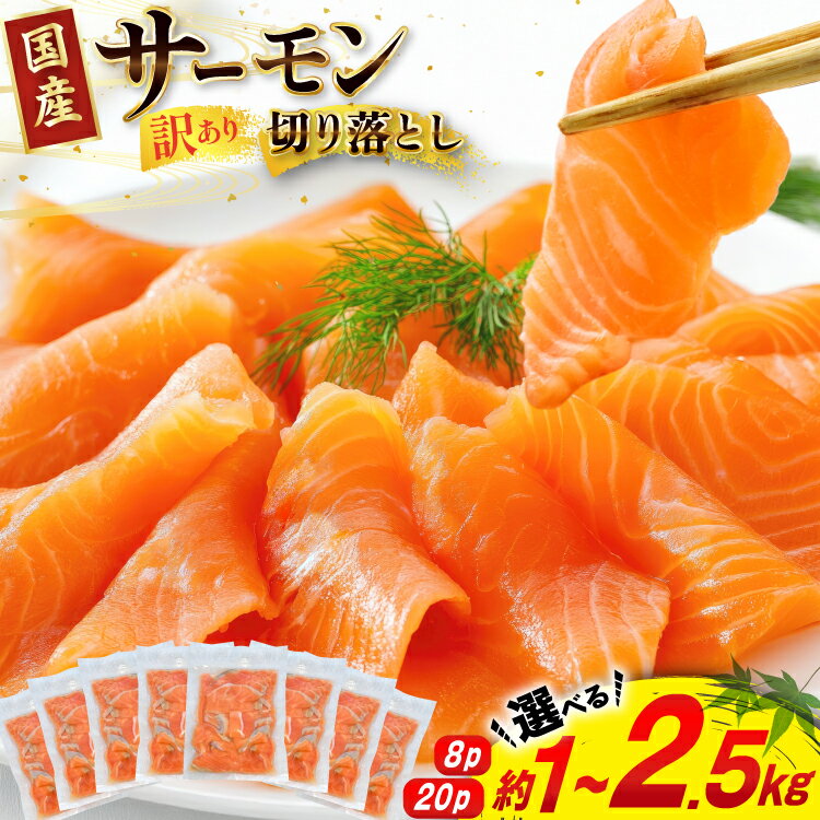 【ふるさと納税】 訳あり 国産 サーモン 切り落し おさしみ用 【選べる内容量】1kg/2.5kg 個包装125g [足利本店 宮城県 気仙沼市 20565701] 訳アリ 無添加 真空パック 鮭 銀鮭 冷凍 生食用 刺身 鮭 お刺し身 刺し身 国産銀鮭 海鮮 海鮮丼 魚介 魚 さけ 小分け 冷凍 鮮魚