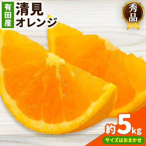 【ふるさと納税】【産直】有田産 清見オレンジ 秀品 約5kg サイズおまかせ 日高町厳選館《3月上旬-3月末頃出荷》和歌山県 日高町 柑橘 果物 フルーツ 清見 オレンジ 清見オレンジ 有田産