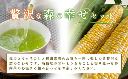 とうもろこし 新茶 セット 8～9本 詰め合わせ とうもろこし