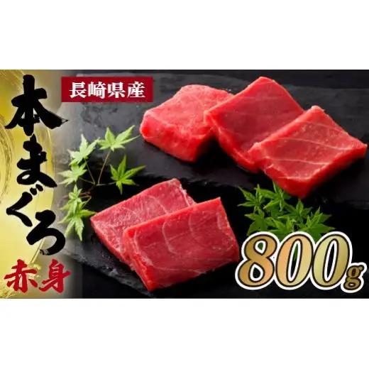 長崎県産 本マグロ 特上 赤身 800g A206-x 