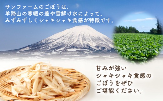 【先行予約】北海道留寿都村産　ごぼう 10kg