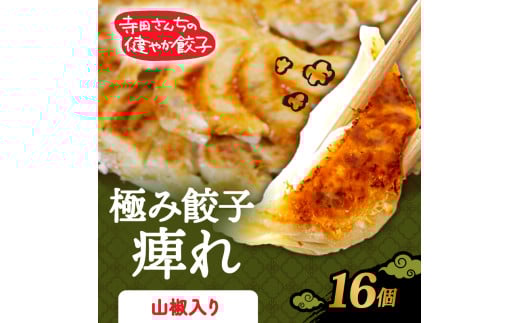 山椒餃子 16個 極み餃子 痺れ 期間限定 山椒 にんにく 不使用 ヘルシー 冷凍 餃子 ぎょうざ 国産野菜 おから 鶏肉 アボカド ヨーグルト 生餃子 ギョウザ ギョーザ 焼き餃子 水餃子 冷凍餃子 惣菜 夜ご飯 おかず 時短 大阪府 松原市