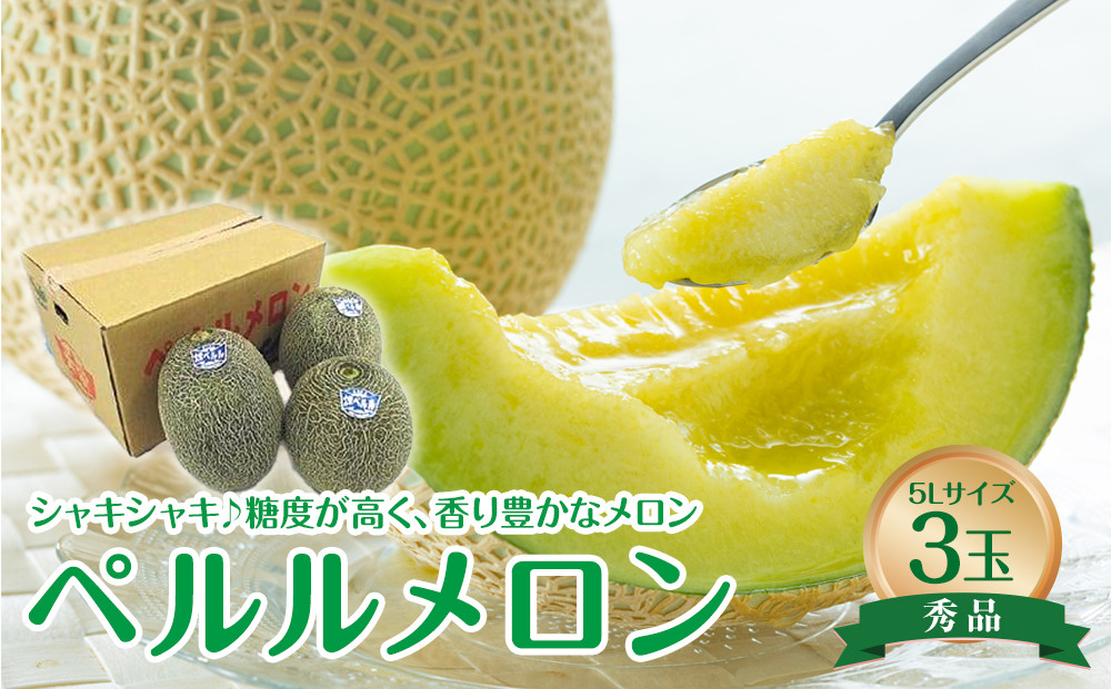 740.【先行予約】【JA】ペルルメロン　秀5L×3玉 ※離島への配送不可 ※2025年6月初旬頃～7月初旬頃に順次発送予定 313726_BN008