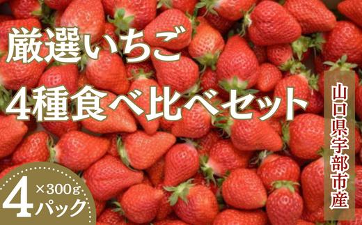 
            (先行予約）いちご４品種 食べ比べ セット 300ｇ×4パック 　【山口県 宇部市 旬 いちご ４品種  食べ比べ  ナチュラルファーム 苺 農園 果物 くだもの 甘い フルーツ スイーツ プレゼント ギフト 】
          