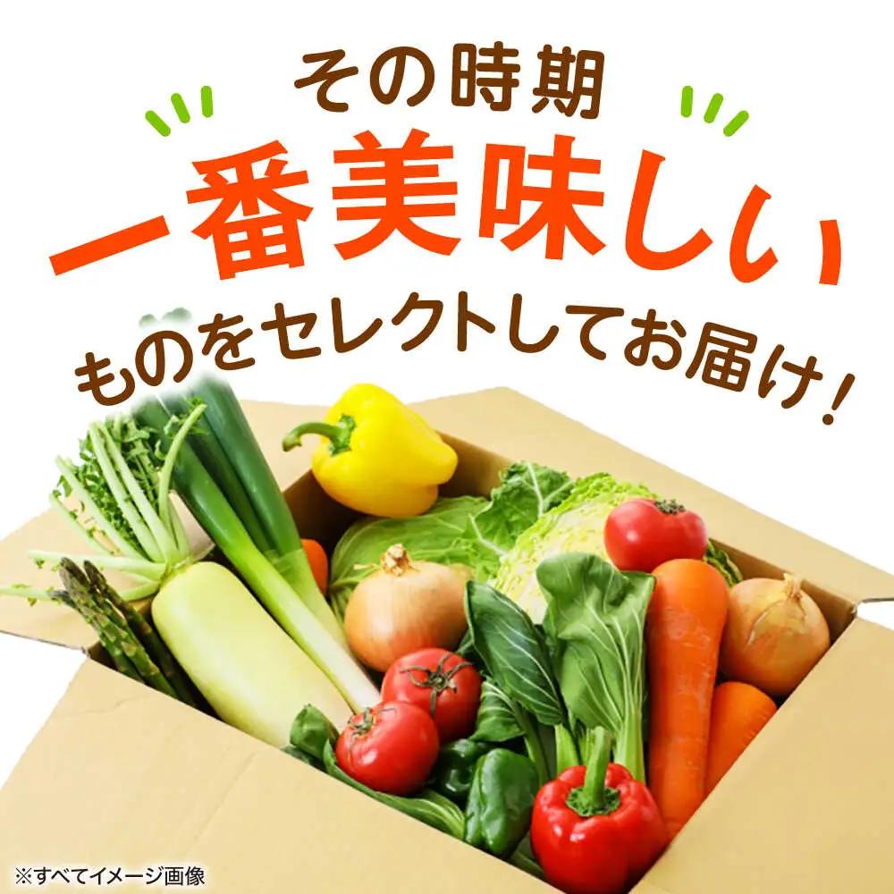 野菜セット[AGAP002]野菜定期便