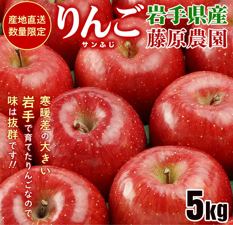 【ふるさと納税】先行予約《2024年11月中旬～発送》藤原農園のりんご『サンふじ』5kg 14玉～20玉 果物類 美味しい 生産 大人気 果汁 果肉 やや硬い シャキシャキ 食感 絶品 高糖度 蜜 　お届け：2025年10月中旬～2026年3月末