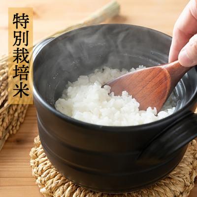ふるさと納税 糸島市 【全3回定期便】☆畑直送☆限定!栽培期間中農薬不使用!お米2kg&野菜5品セット[AGE036] |  | 01