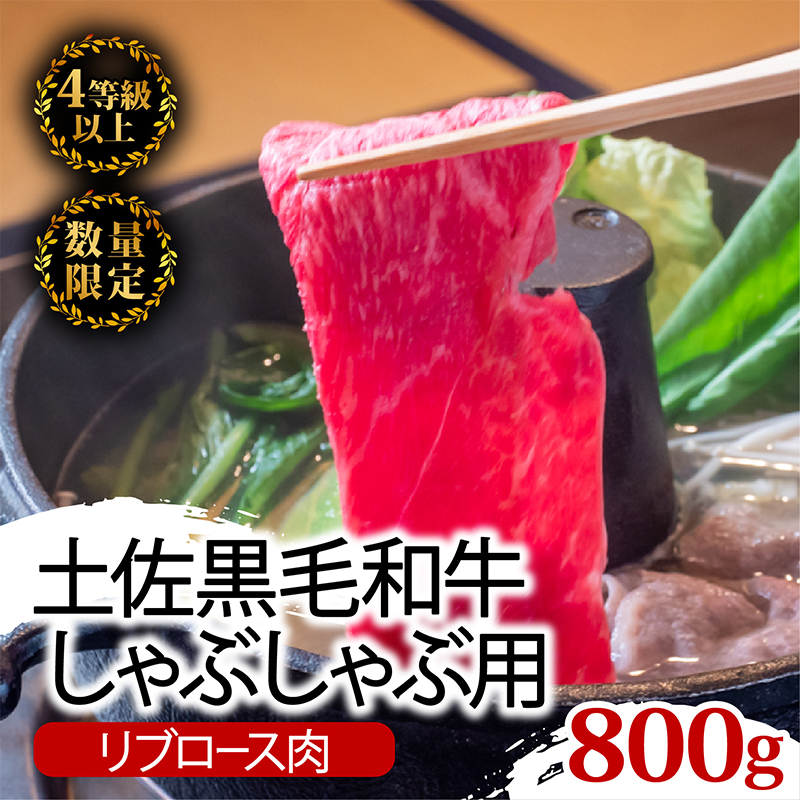 土佐 黒毛 和牛 しゃぶしゃぶ用 800g | 特撰 リブロース肉 最上位等級 A4 A5 最高ランク 贅沢 しゃぶしゃぶ 鍋 スライス 焼肉用 小分け 冷凍 国産 牛肉 高知県 須崎 TM015