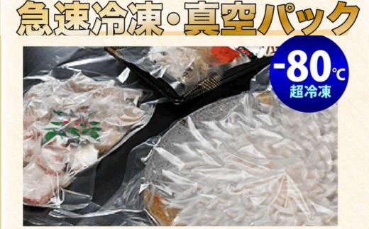 (10103)とらふぐ刺身1人前×3皿 冷凍