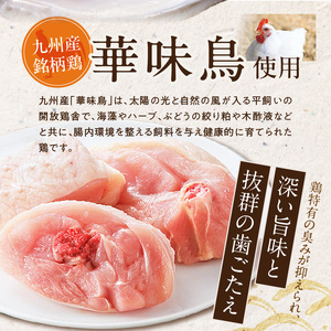 博多華味鳥串揚げセット 〔Ax167〕