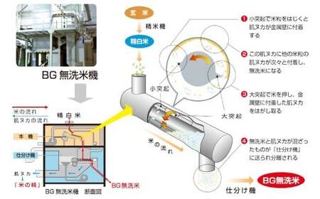 子育て応援米 【令和7年産】 奈義町産米 BG無洗米 コシヒカリ 10kg （5kg×2袋） 【窒素充填包装】 【2025年10月上旬より順次発送開始】 10キロ こしひかり お米 米 無精米 国産 