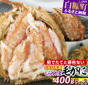 【ふるさと納税】 しらぬか産 CAS冷凍毛がに 【400g×2杯】 北海道 応援